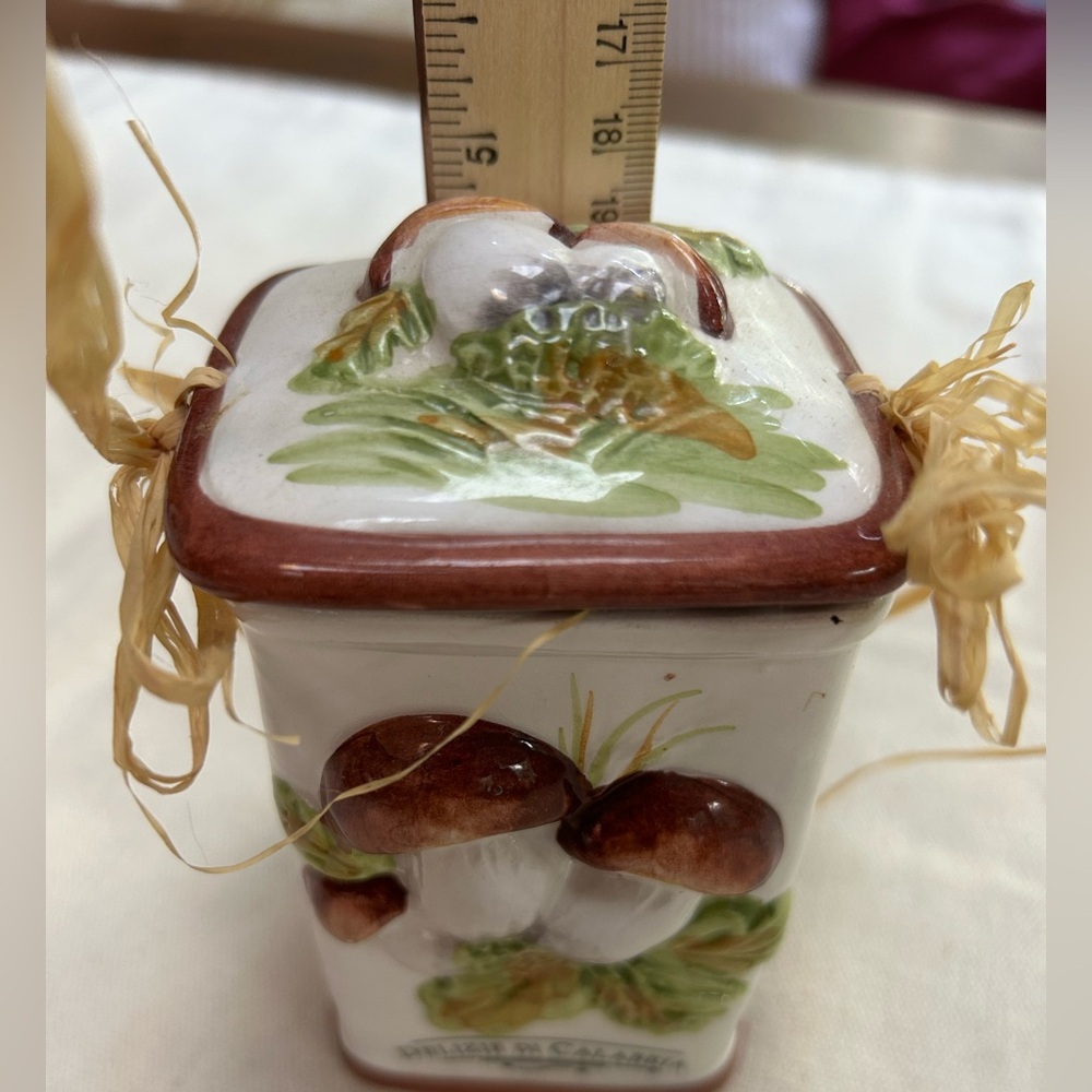 Ceramic Mushroom Decor Square Ceramic Jar w/Lid, straw ties.Unique Raised design